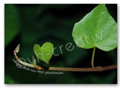 Postkarte Blatt Herzform, grün, inkl. Umschlag